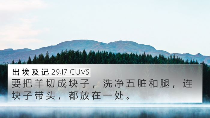 出 埃 及 记 29:17 CUVS Bible Verse Image