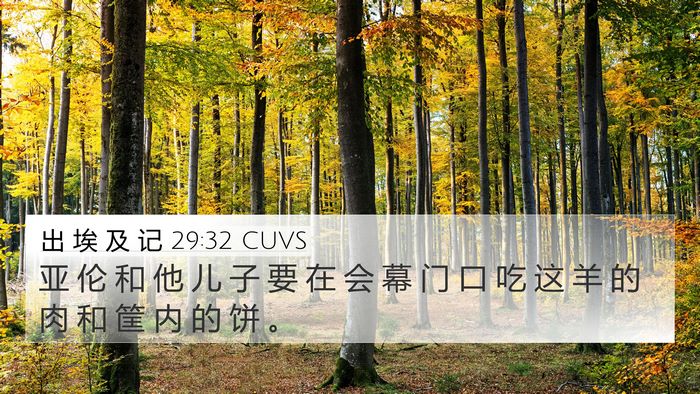 出 埃 及 记 29:32 CUVS Bible Verse Image