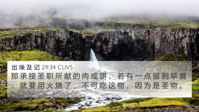 出 埃 及 记 29:34 CUVS Bible Verse Image