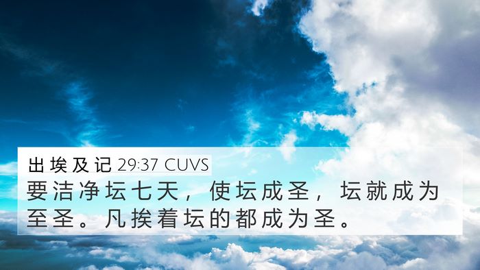 出 埃 及 记 29:37 CUVS Bible Verse Image