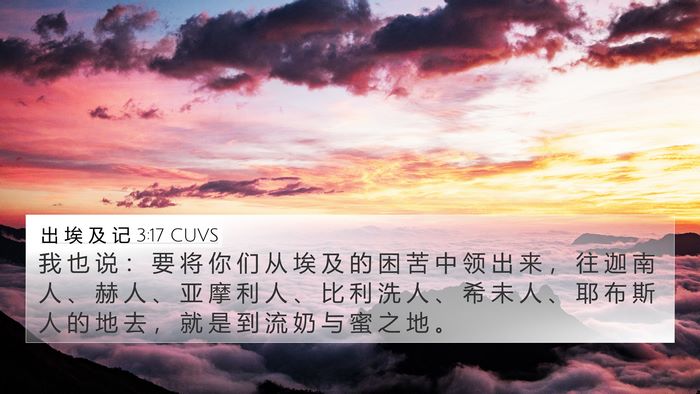 出 埃 及 记 3:17 CUVS Bible Verse Image