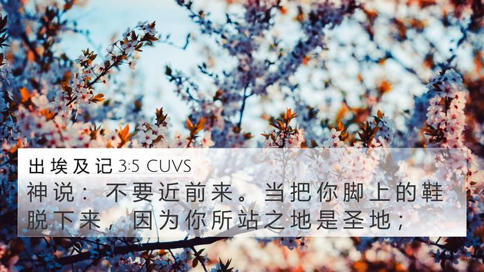 出 埃 及 记 3:5 CUVS Bible Verse Image