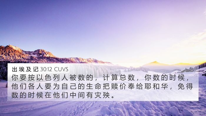 出 埃 及 记 30:12 CUVS Bible Verse Image