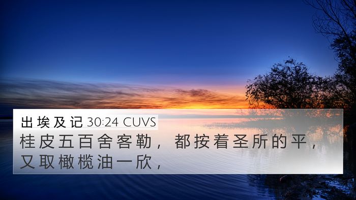 出 埃 及 记 30:24 CUVS Bible Verse Image