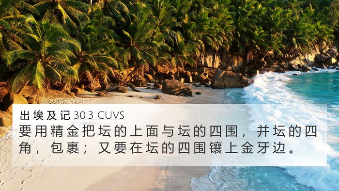 出 埃 及 记 30:3 CUVS Bible Verse Image