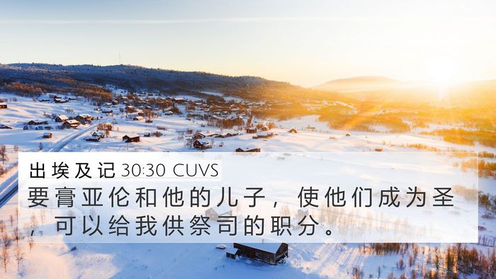 出 埃 及 记 30:30 CUVS Bible Verse Image