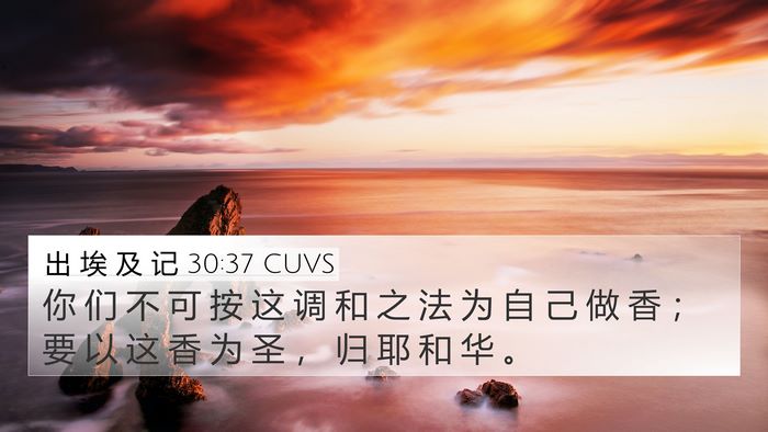 出 埃 及 记 30:37 CUVS Bible Verse Image
