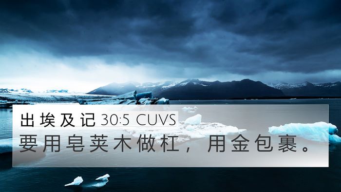 出 埃 及 记 30:5 CUVS Bible Verse Image