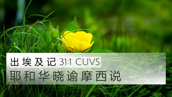 出 埃 及 记 31:1 CUVS Bible Verse Image