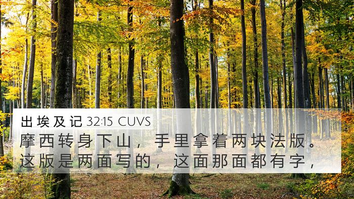 出 埃 及 记 32:15 CUVS Bible Verse Image