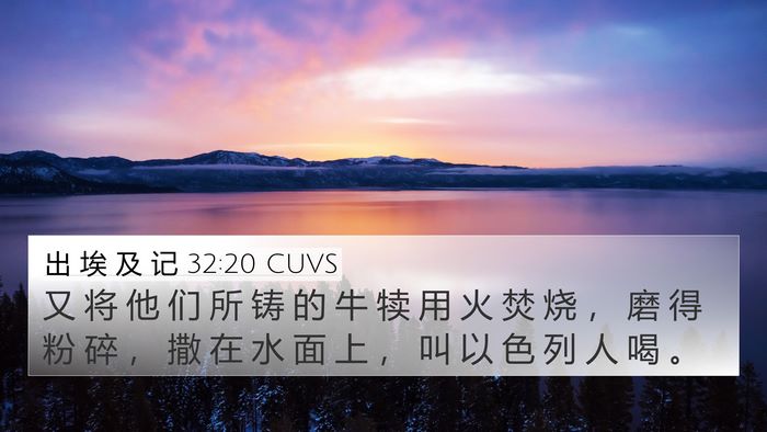 出 埃 及 记 32:20 CUVS Bible Verse Image