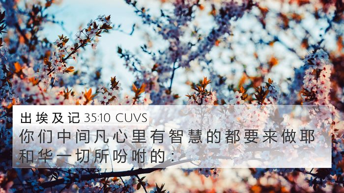 出 埃 及 记 35:10 CUVS Bible Verse Image