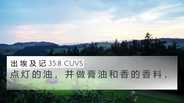 出 埃 及 记 35:8 CUVS Bible Verse Image