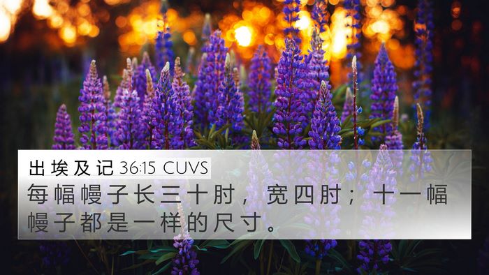 出 埃 及 记 36:15 CUVS 4K Wallpaper - 每 幅 幔 子 长 三 十 肘 ， 宽 四 肘 - 4K Wallpaper Bible Verse