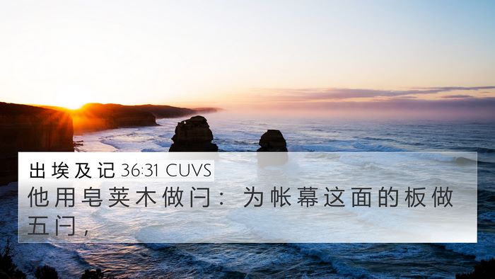 出 埃 及 记 36:31 CUVS Bible Verse Image