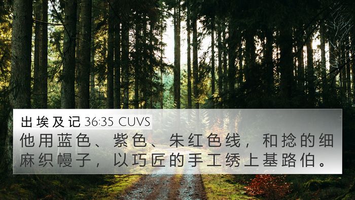 出 埃 及 记 36:35 CUVS Bible Verse Image