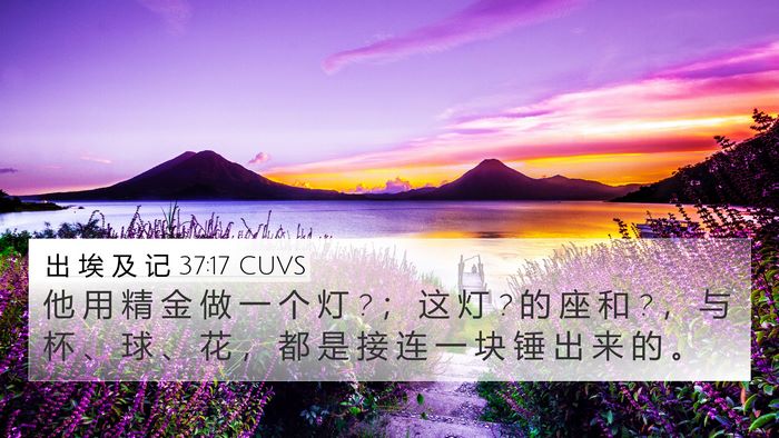 出 埃 及 记 37:17 CUVS Bible Verse Image