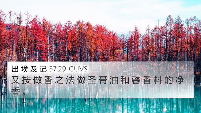 出 埃 及 记 37:29 CUVS Bible Verse Image
