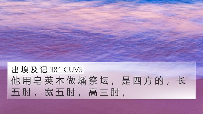 出 埃 及 记 38:1 CUVS Bible Verse Image