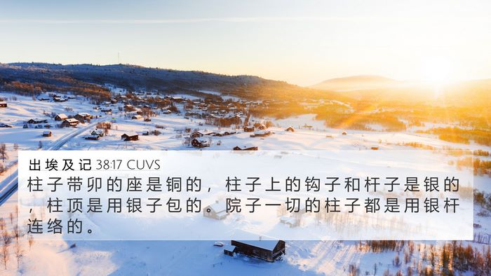出 埃 及 记 38:17 CUVS Bible Verse Image