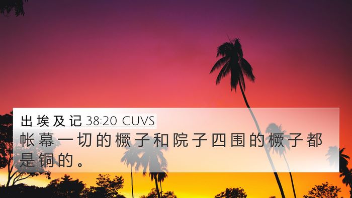 出 埃 及 记 38:20 CUVS Bible Verse Image