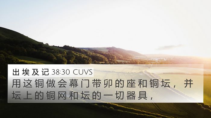 出 埃 及 记 38:30 CUVS Bible Verse Image