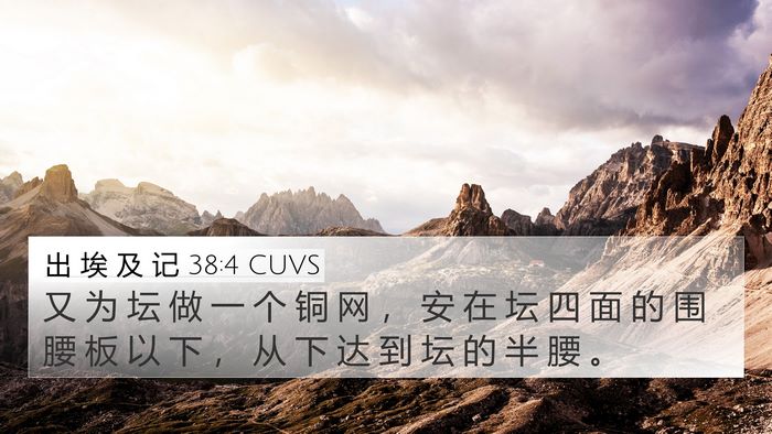 出 埃 及 记 38:4 CUVS Bible Verse Image