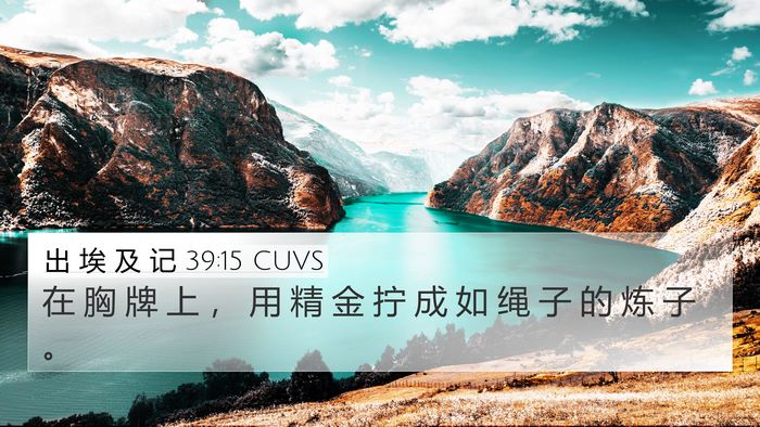 出 埃 及 记 39:15 CUVS Bible Verse Image