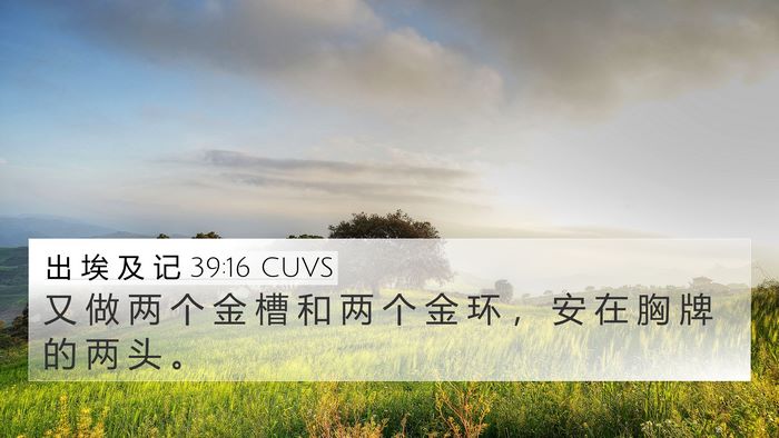 出 埃 及 记 39:16 CUVS 4K Wallpaper - 又 做 两 个 金 槽 和 两 个 金 环 ， - 4K Wallpaper Bible Verse