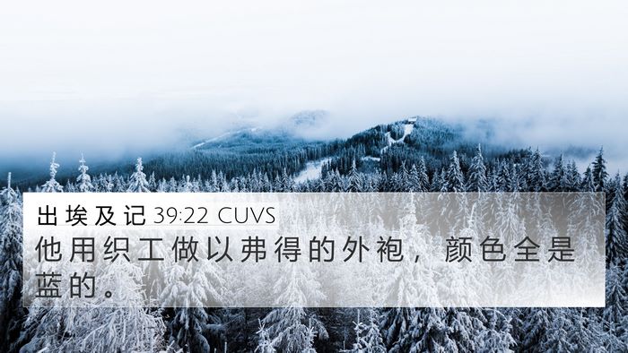 出 埃 及 记 39:22 CUVS Bible Verse Image