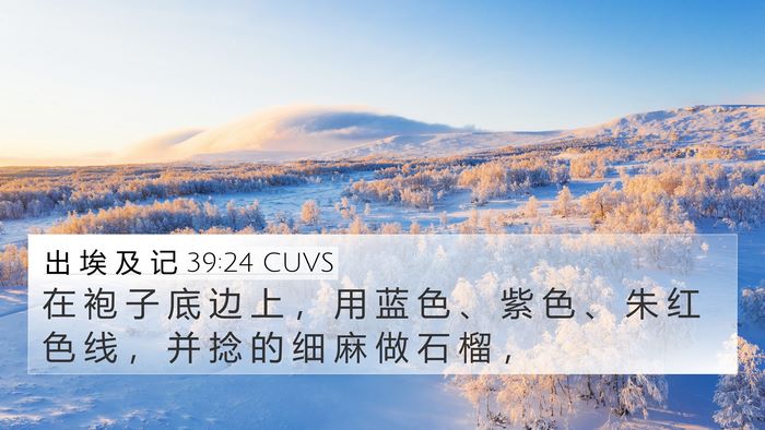 出 埃 及 记 39:24 CUVS 4K Wallpaper - 在 袍 子 底 边 上 ， 用 蓝 色 、 紫 - 4K Wallpaper Bible Verse