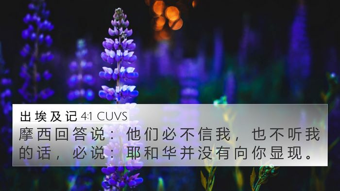 出 埃 及 记 4:1 CUVS Bible Verse Image