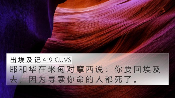出 埃 及 记 4:19 CUVS Bible Verse Image