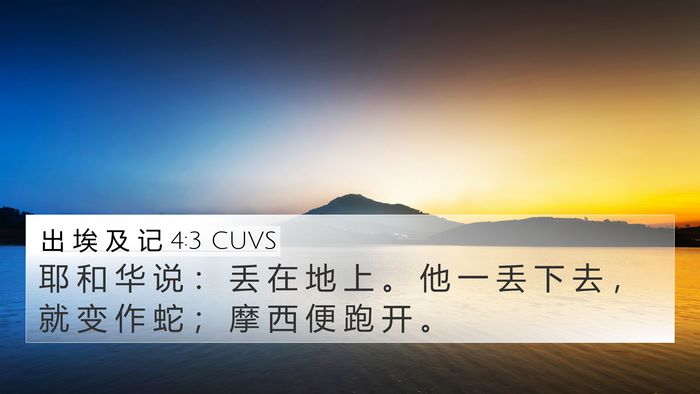 出 埃 及 记 4:3 CUVS Bible Verse Image