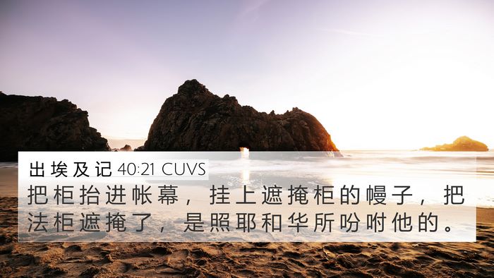 出 埃 及 记 40:21 CUVS Bible Verse Image