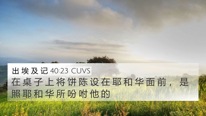 出 埃 及 记 40:23 CUVS Bible Verse Image