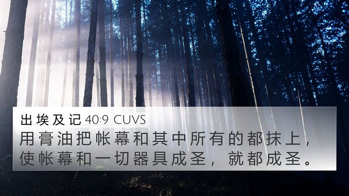 出 埃 及 记 40:9 CUVS Bible Verse Image