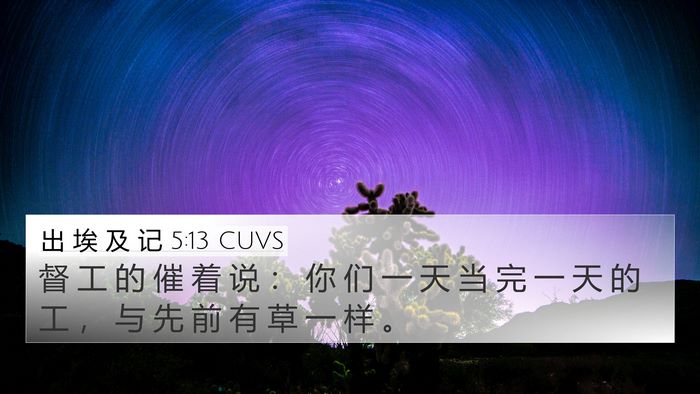 出 埃 及 记 5:13 CUVS Bible Verse Image