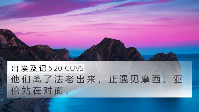 出 埃 及 记 5:20 CUVS 4K Wallpaper - 他 们 离 了 法 老 出 来 ， 正 遇 见 - 4K Wallpaper Bible Verse