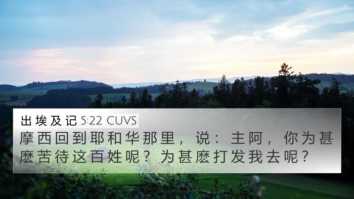 出 埃 及 记 5:22 CUVS Bible Verse Image