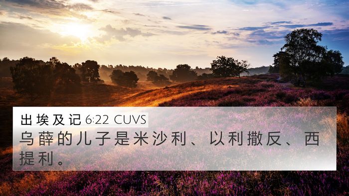 出 埃 及 记 6:22 CUVS Bible Verse Image