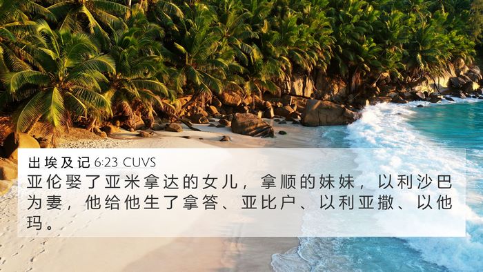 出 埃 及 记 6:23 CUVS Bible Verse Image