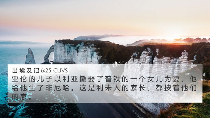 出 埃 及 记 6:25 CUVS Bible Verse Image
