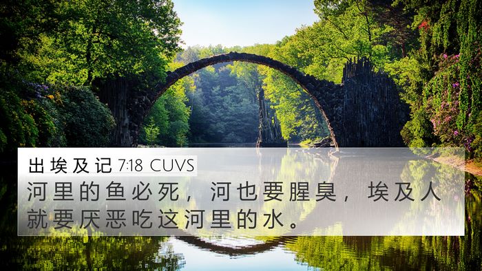 出 埃 及 记 7:18 CUVS 4K Wallpaper - 河 里 的 鱼 必 死 ， 河 也 要 腥 臭 - 4K Wallpaper Bible Verse