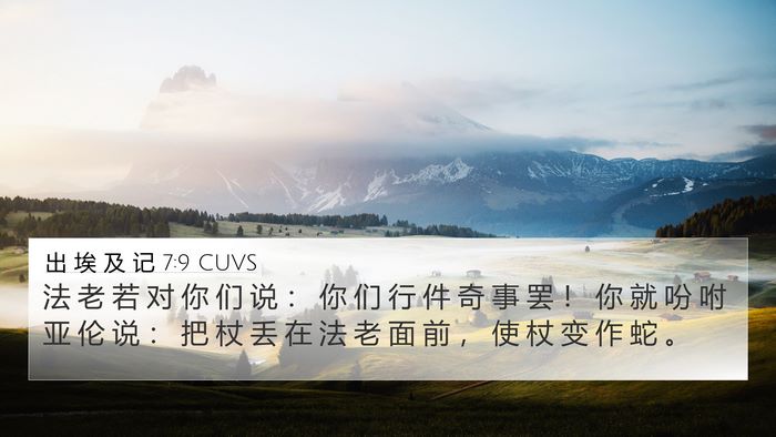 出 埃 及 记 7:9 CUVS 4K Wallpaper - 法 老 若 对 你 们 说 ： 你 们 行 件 - 4K Wallpaper Bible Verse