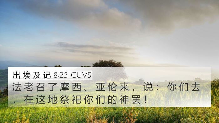 出 埃 及 记 8:25 CUVS Bible Verse Image