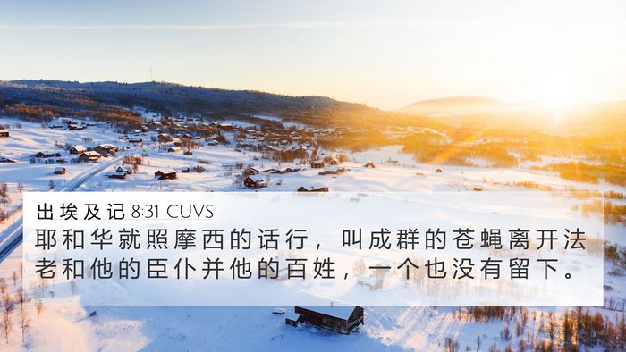 出 埃 及 记 8:31 CUVS 4K Wallpaper - 耶 和 华 就 照 摩 西 的 话 行 ， 叫 - 4K Wallpaper Bible Verse