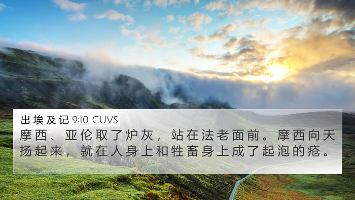 出 埃 及 记 9:10 CUVS 4K Wallpaper - 摩 西 、 亚 伦 取 了 炉 灰 ， 站 在 - 4K Wallpaper Bible Verse