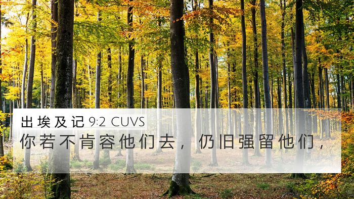 出 埃 及 记 9:2 CUVS Bible Verse Image