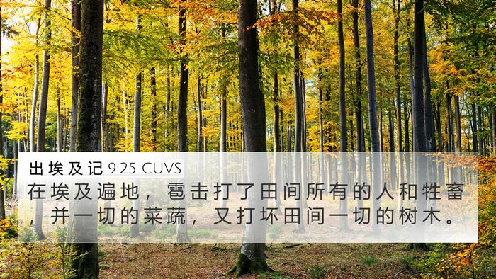 出 埃 及 记 9:25 CUVS Bible Verse Image